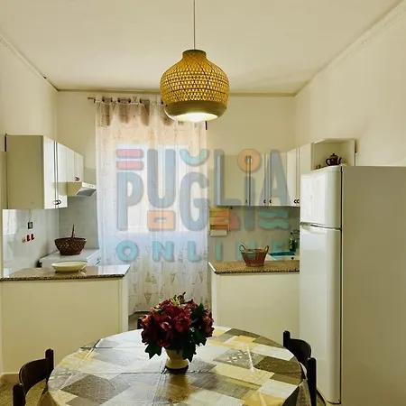 Luca A Mancaversa *